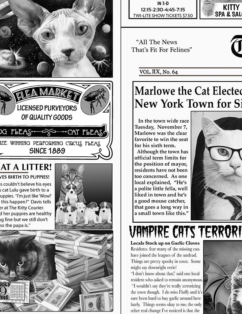 Cat Newspaper - Timeless Treasures - 1/2 YARD