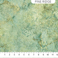 Stonehenge Gradation Pine Ridge Light by Linda Ludovico for Northcott 1/2 yard