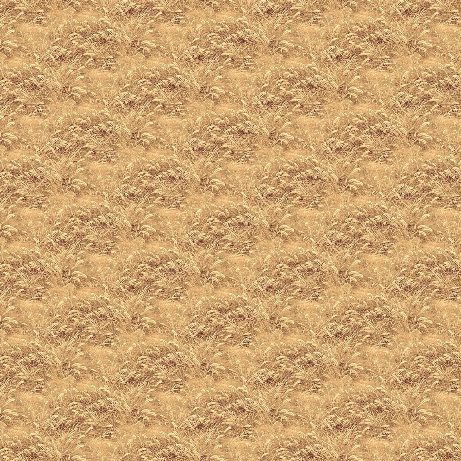Birchwood - Naturescapes Grass Tan by Rosemary Millette for Northcott - 1/2 Yard