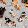 QT CUTIES 2 PACK OF PUPPIES by Morris Creative Group for Timeless Treasures Fabric - 1/2 Yard