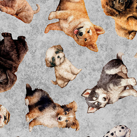 QT CUTIES 2 PACK OF PUPPIES by Morris Creative Group for Timeless Treasures Fabric - 1/2 Yard
