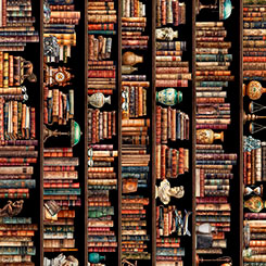Book Club - Bookshelf Border Stripe Multi by QT Fabrics - 1/2 Yard