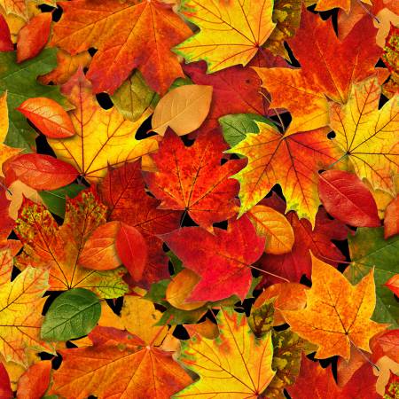 Elizabeth's Studio Landscape Medley Fall Leaves 478E Multi -1/2 Yard