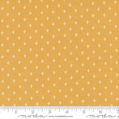Florences Fancy Butter 31667 17 - 1/2 Yard