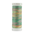 Sulky 12 Wt. Cotton Petites Blendables – Fiesta – 50 yd