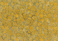 Enchanting Garden Overall Floral Gold Bloom by Banyan Batik for Northcott Fabrics - 1/2 YARD