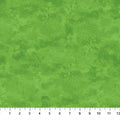 Toscana Rainforest by Deborah Edwards for Northcott - 1/2 YARD