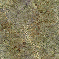 Timeless Treasures - Mountain Tropical Floral -1/2 Yard
