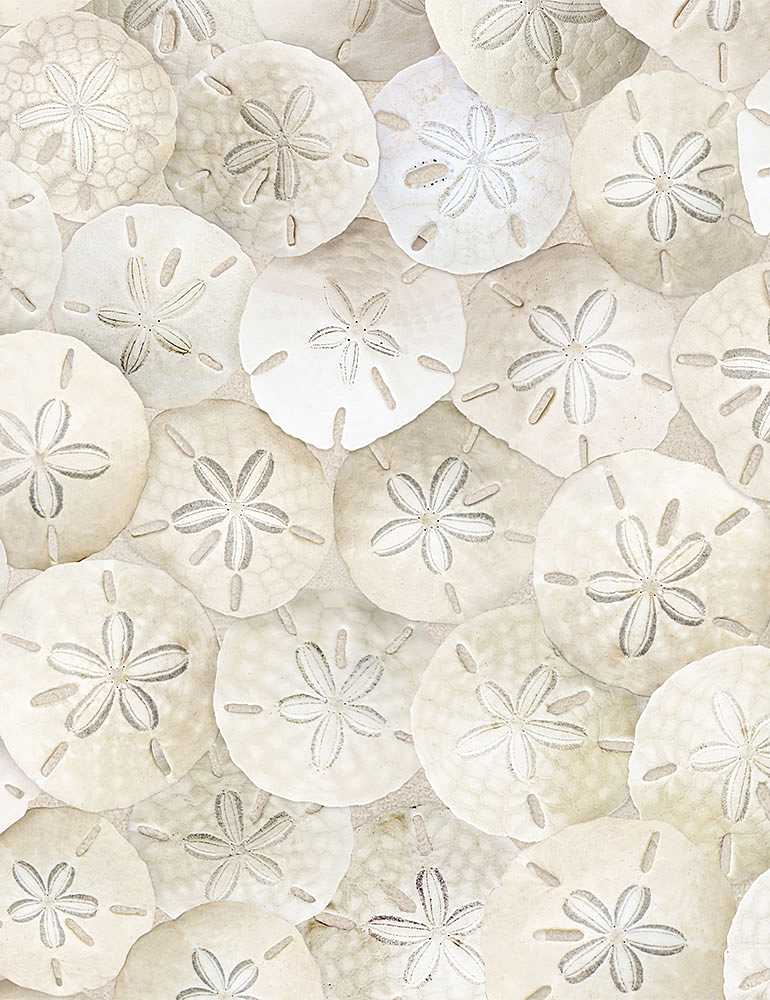 Packed Sand Dollars On  Beach for TTF - 1/2 Yard