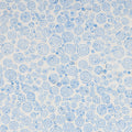 Batiks Expressions Little Boy Blue for Riley Blake - 1/2 YARD