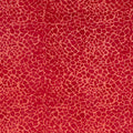 Batiks Elementals Lobster for Riley Blake - 1/2 YARD