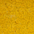 BATIKS ELEMENTALS SAFFRON for Riley Blake - 1/2 YARD