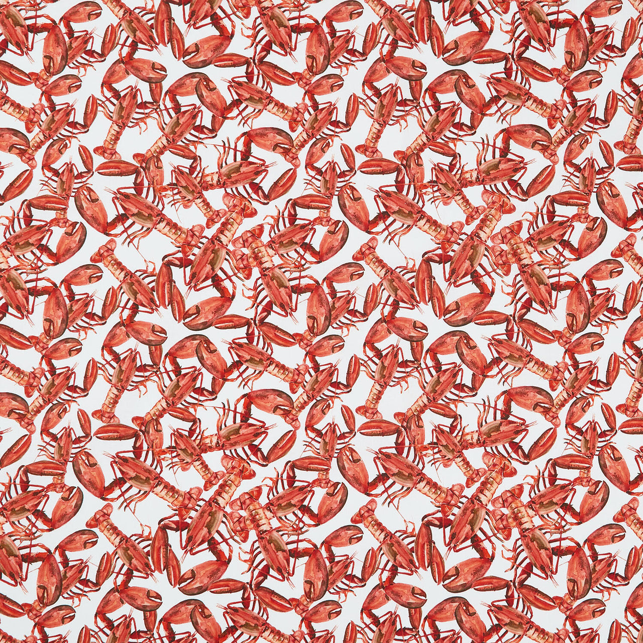 Seaside Boil Lobster Allover White for Blank Quilting - 1/2 YARD