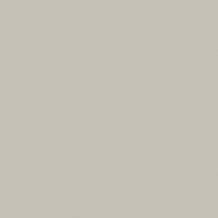Confetti Cotton - 100% Cotton - C120 Light Gray- 1/2 YARD