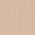 Threads of Grace - Criss Cross Sand - by Kassidy Grace for Riley Blake - 1/2 YARD
