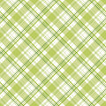 Hydrangeas in the Garden Main Plaid Green by Jennifer Bosworth for RBD - 1/2 YARD