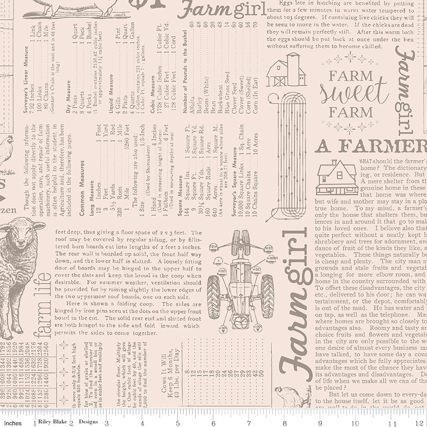 Farmer's Daughter - Farm Life Background - Rustic - by Lori Holt for RBD - 1/2 YARD