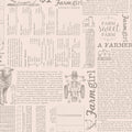 Farmer's Daughter - Farm Life Background - Rustic - by Lori Holt for RBD - 1/2 YARD