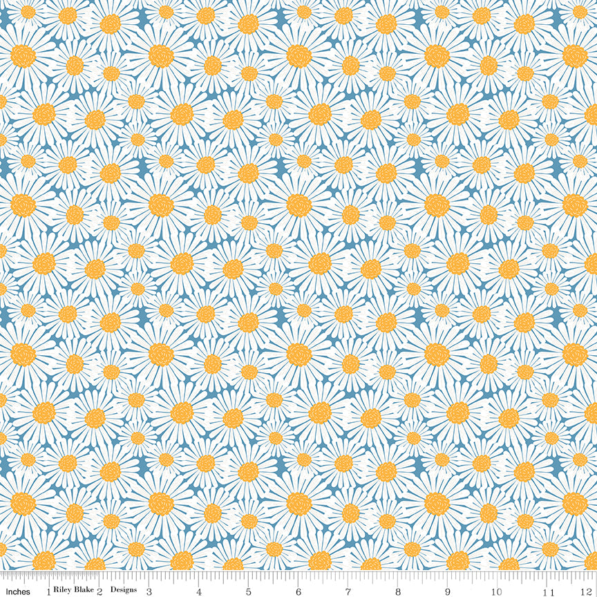 Sunshine & Dandelions Daisies Blue