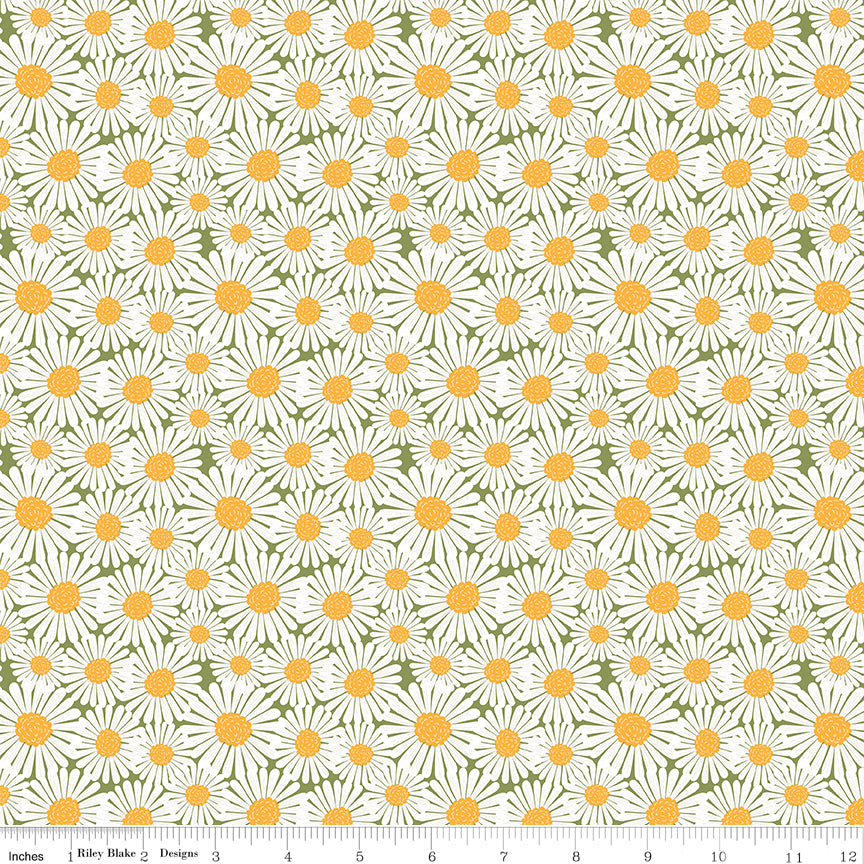 Sunshine & Dandelions Daisies Green