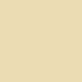 American Jane Pindots - SAND - C840 - Riley Blake Designs 1/2 YARD