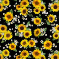 Advice from a Sunflower Sunflowers and Daisies Bouquets Black - 1/2 Yard