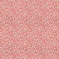 Northcott Take Me to the Beach - Coral Red - 28685-24 – 1/2 Yard