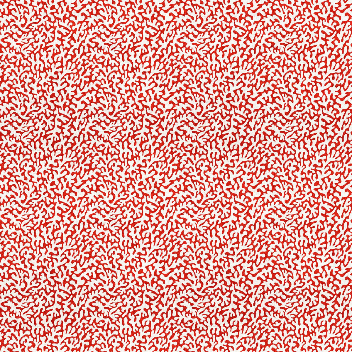 Northcott Take Me to the Beach - Coral Red - 28685-24 – 1/2 Yard