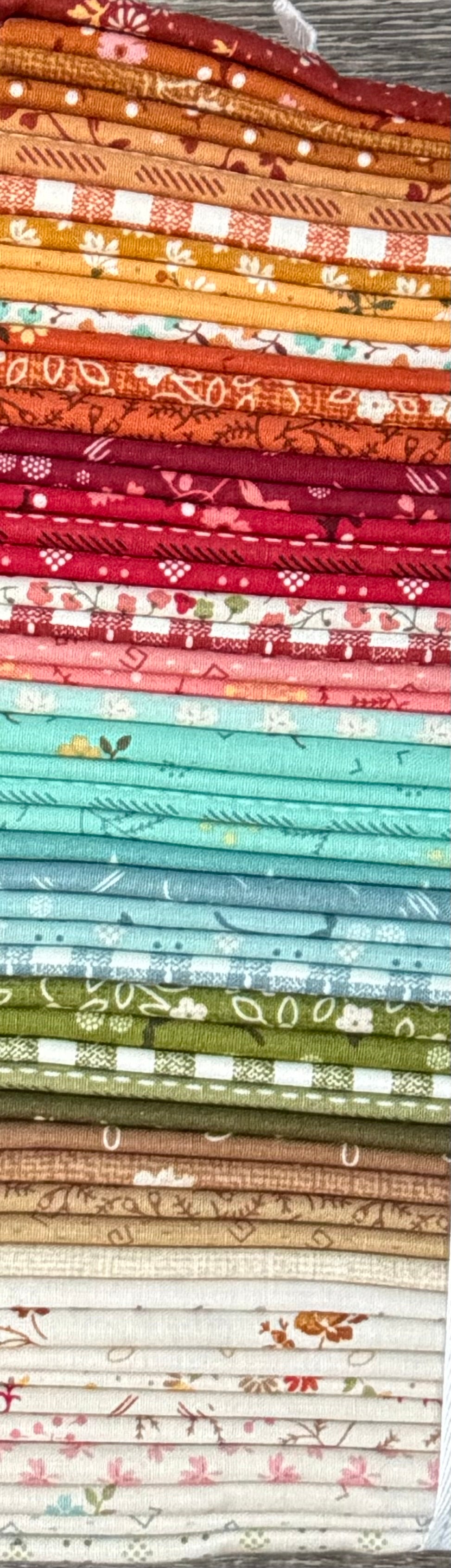 Baked with Love by Lori Holt Juxtaposition Quilt Kit 53 1/2” x 71”