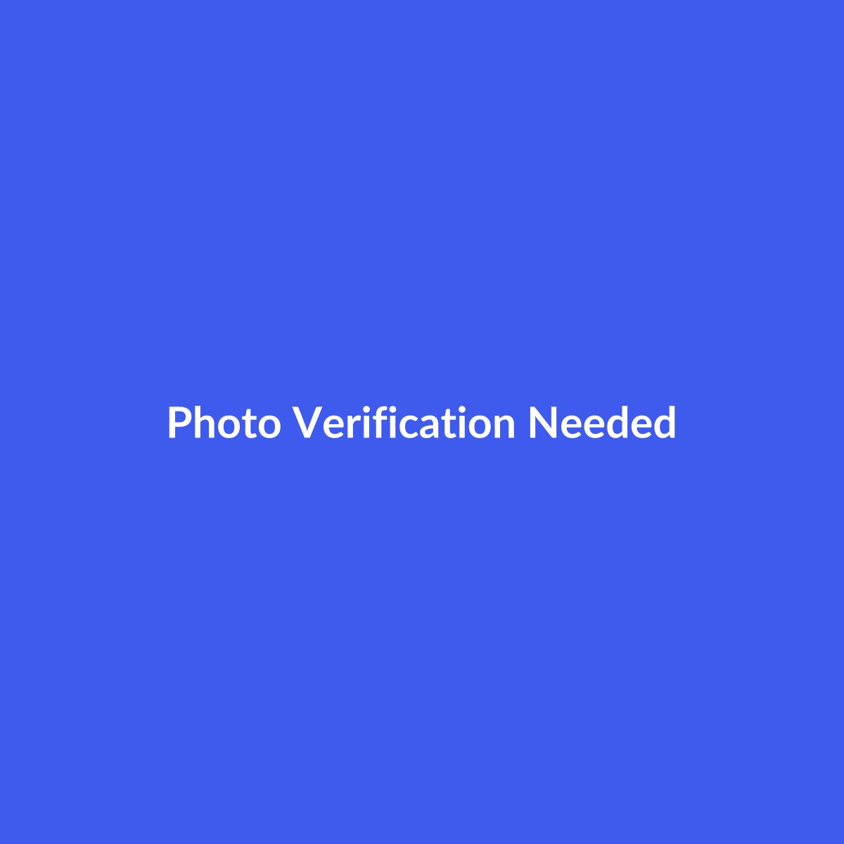 Ann Shaw Quilting Designs Pattern – Verification Needed (42117)