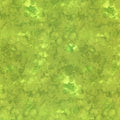 SOLID-ISH WATERCOLOR TEXTURE- Fern- by KIMBERLY EINMO -Timeless Treasures - 1/2 YARD