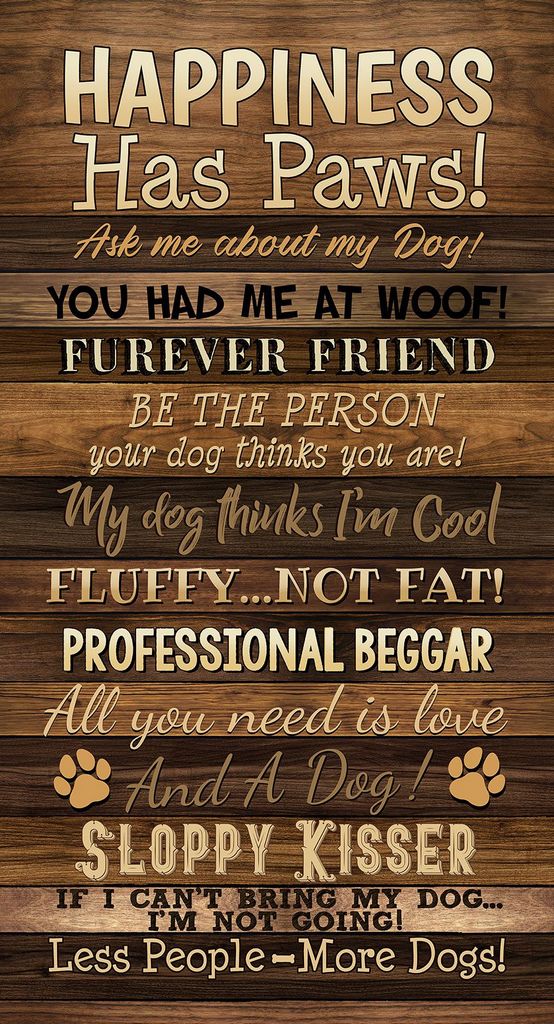 Happiness Has Paws 24-inch Panel – Brown