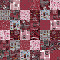 South Carolina Collegiate Cheater Quilt Fabric by Sykel - 1/2 Yard