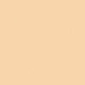 Timeless Treasures - Spin Basic - Apricot