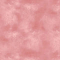 Impression - Tonal Sky Texture - Rose - by CHONG-A HWANG for Timeless Treasures - 1/2 YARD