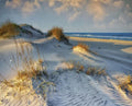 The Dunes of OBX Outer Banks Beach Scene Panel 35in