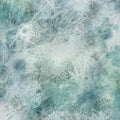Sea Salt Aqua