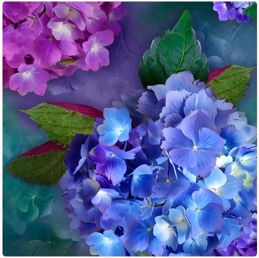 Hydrangea Blooms - dark blue QT Fabrics -  1/2 YARD