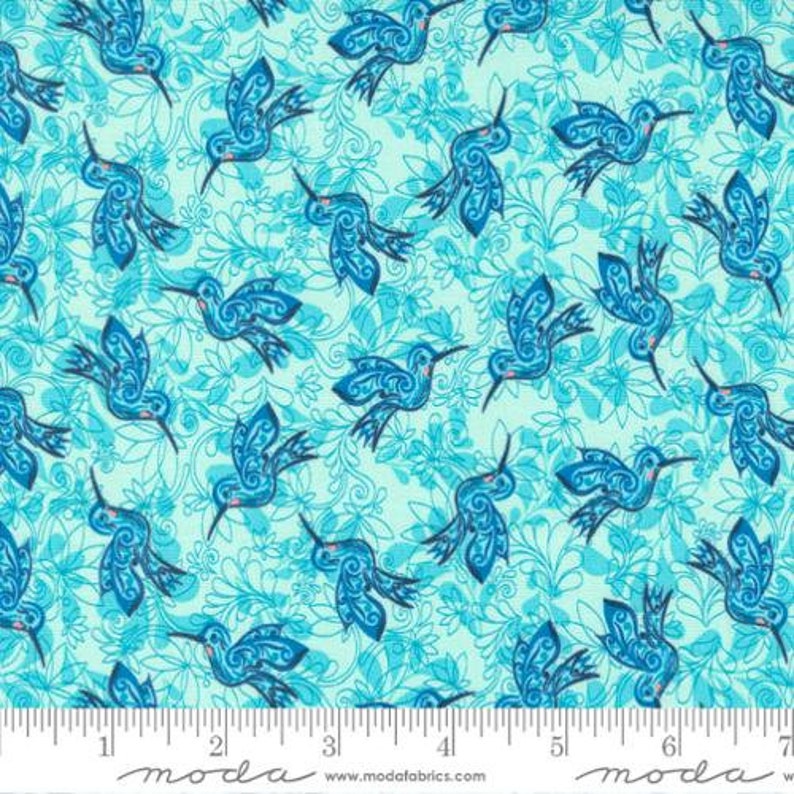 Land of Enchantment - Zunzuncito Hummingbirds - Green Aqua
