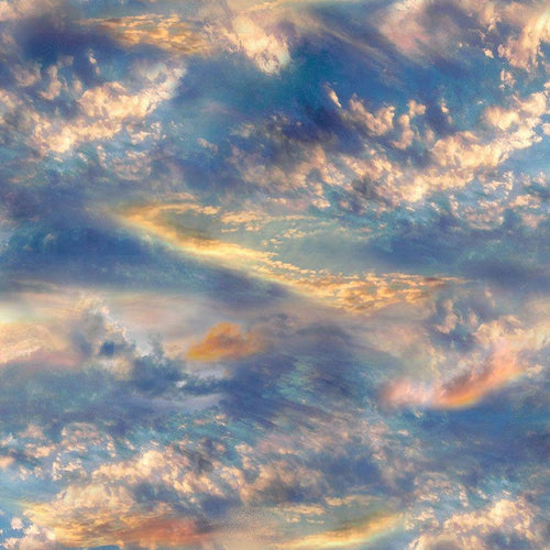 Beach Sky Sunset by Timeless Treasures fabric