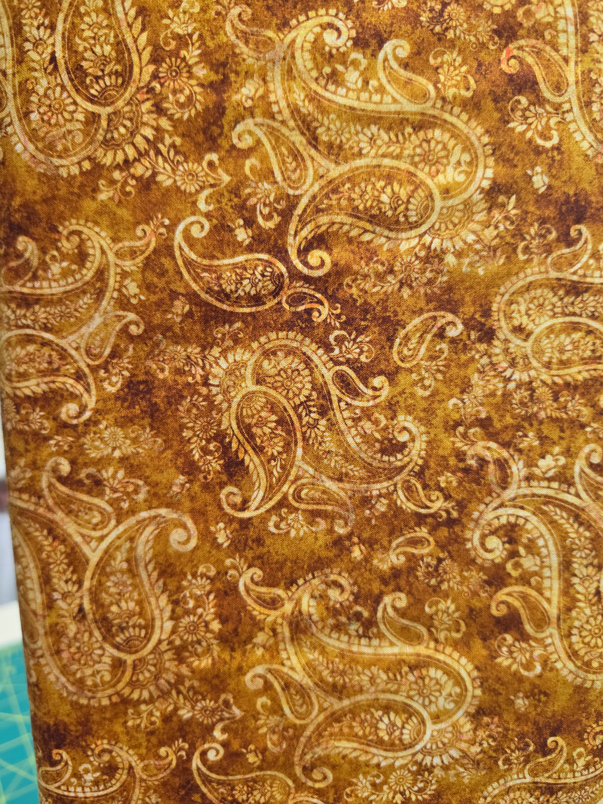 Born to Run -Cayenne Paisley - 31481-T -1/2 Yard (Copy)