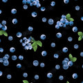 Benartex Blueberry Hill by Kanvas Studio - Black - Sweet Blueberries Cotton - 1/2 YARD