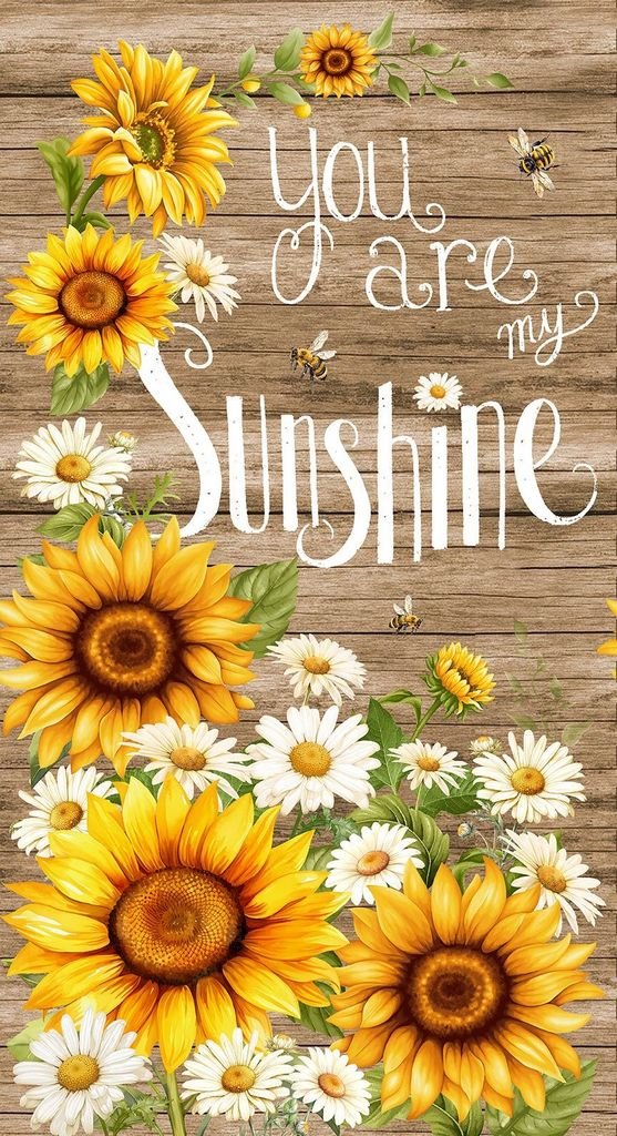 You Are My Sunshine Panel 24in Brown